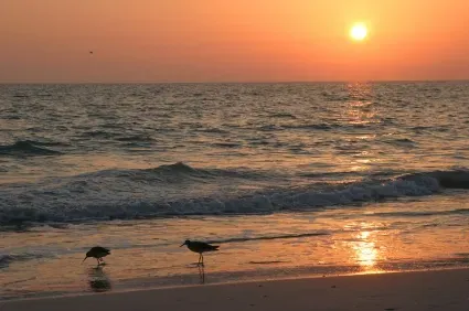 anna maria island